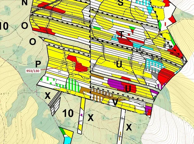 Dražba lesa, Nová Hradečná, 5079 m2
