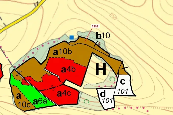 Dražba lesa, Stebno, 2275 m2