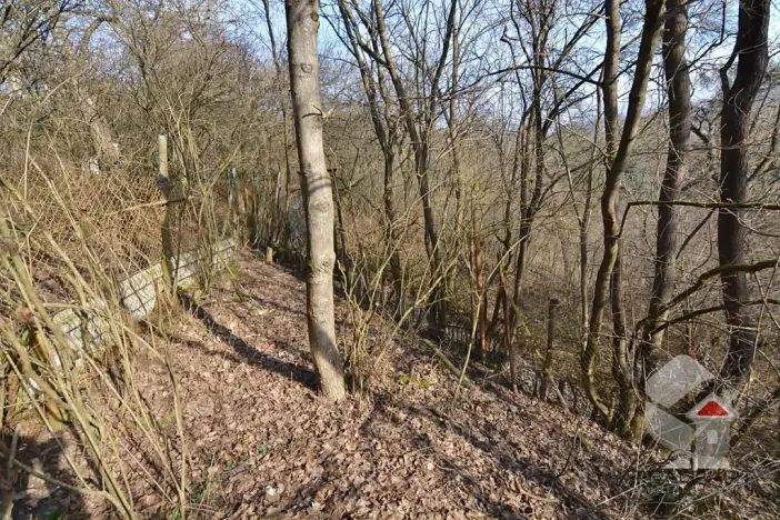 Prodej zahrady, Brno, Turistická, 207 m2