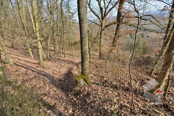 Prodej zahrady, Brno, Turistická, 207 m2