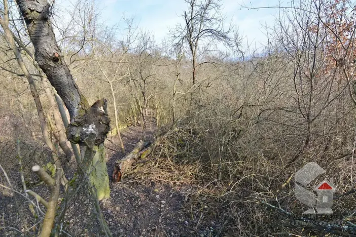 Prodej zahrady, Brno, Turistická, 207 m2