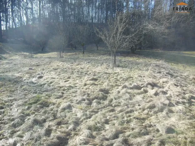 Prodej pozemku pro bydlení, Hrubá Skála, 3738 m2