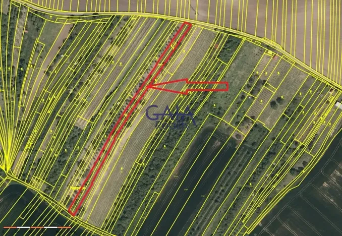 Prodej pole, Svatobořice-Mistřín, 2942 m2