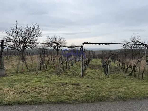 Prodej pole, Svatobořice-Mistřín, 2942 m2