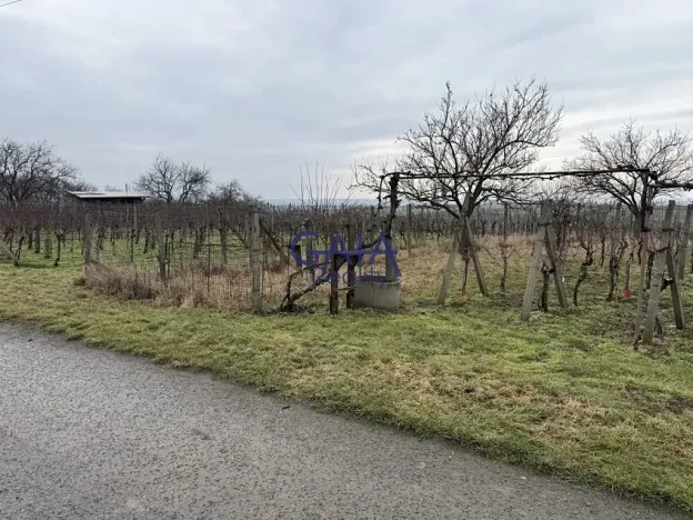 Prodej pole, Svatobořice-Mistřín, 2942 m2