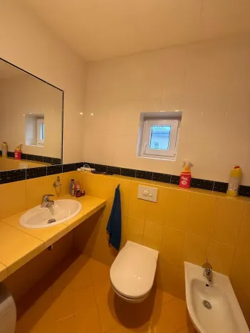 Prodej rodinného domu, Šestajovice, 325 m2