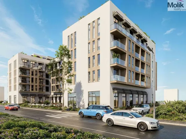 Prodej bytu 2+kk, Golem, 62 m2