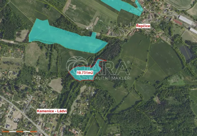 Prodej lesa, Velké Popovice, 19731 m2