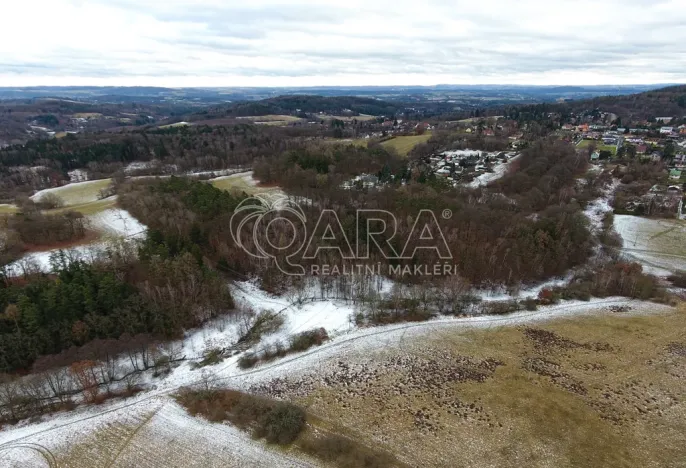 Prodej lesa, Velké Popovice, 19731 m2
