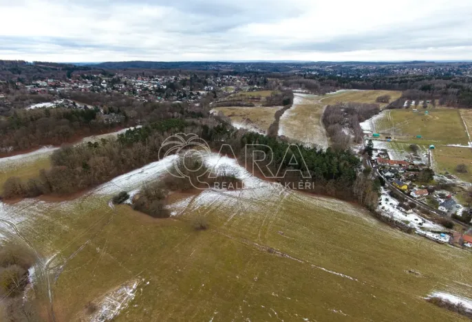 Prodej lesa, Velké Popovice, 19731 m2