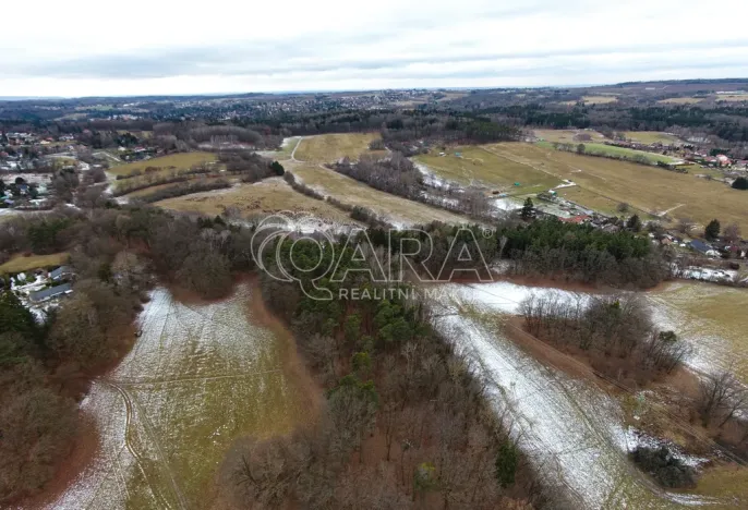 Prodej lesa, Velké Popovice, 19731 m2