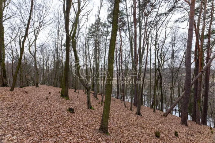 Prodej lesa, Velké Popovice, 19731 m2