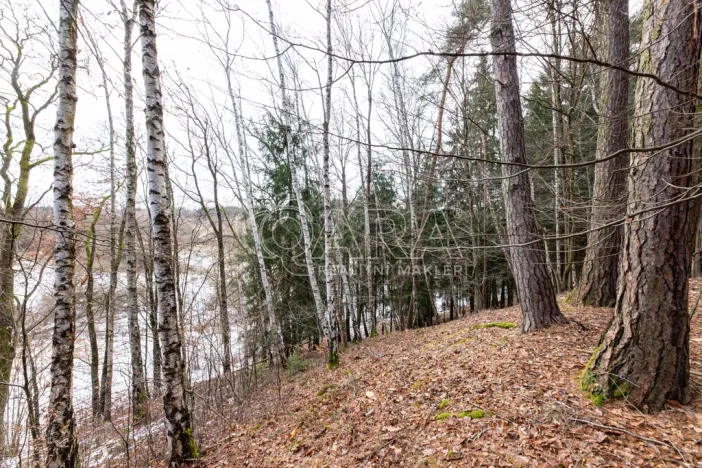 Prodej lesa, Velké Popovice, 19731 m2