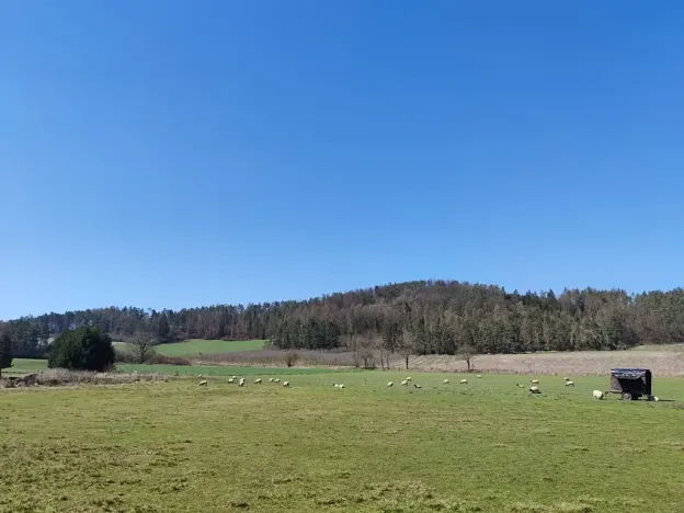 Prodej pozemku pro bydlení, Horažďovice, 1125 m2