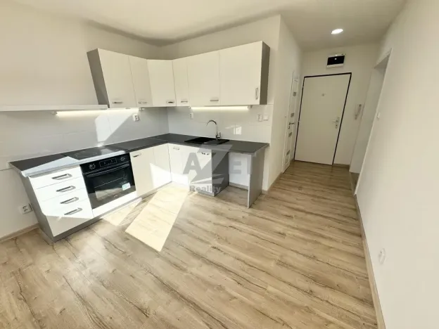 Prodej bytu 1+1, Ostrava - Moravská Ostrava, Josefa Brabce, 40 m2