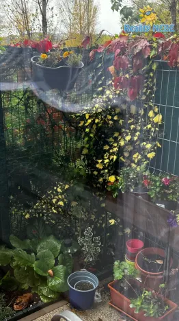 Prodej bytu 2+kk, Praha - Hodkovičky, Šífařská, 68 m2