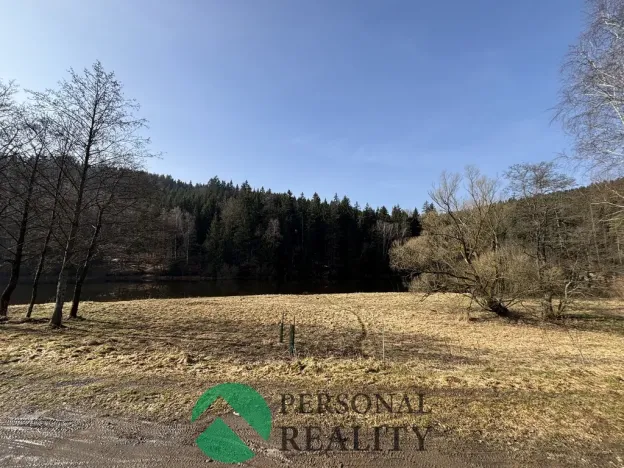 Prodej chaty, Klášterec nad Orlicí - Lhotka, 90 m2