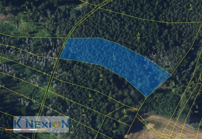 Prodej lesa, Vratislávka, 4384 m2