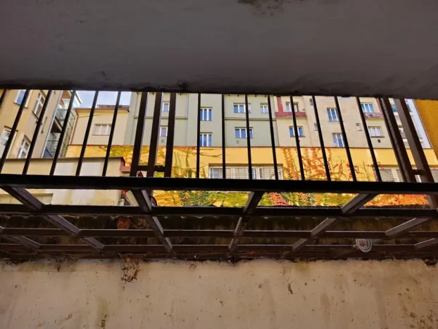 Prodej bytu 2+kk, Praha - Žižkov, Žerotínova, 53 m2