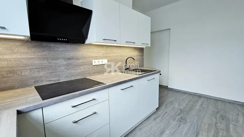 Pronájem bytu 1+1, Ostrava, Poděbradova, 55 m2