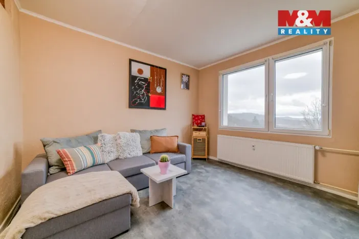 Prodej bytu 1+1, Planá, Fučíkova, 39 m2