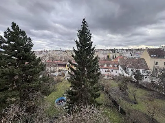 Pronájem bytu 1+kk, Praha - Střešovice, Na Petynce, 32 m2