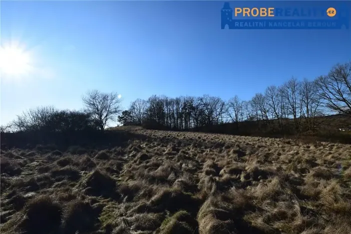 Prodej pozemku pro bydlení, Mirotice, 9991 m2