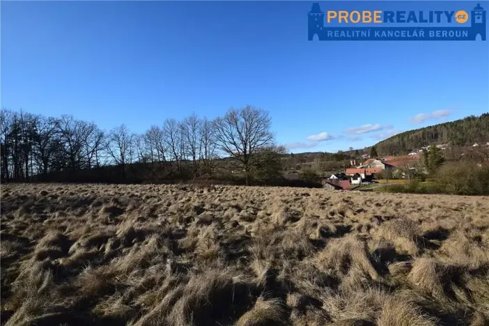 Prodej pozemku pro bydlení, Mirotice, 9991 m2