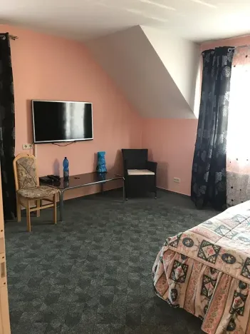 Prodej rodinného domu, Mariánské Lázně, Školní, 675 m2