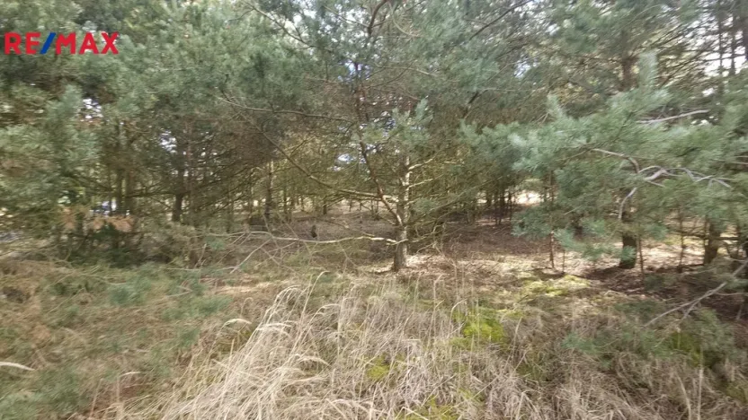 Prodej pozemku pro bydlení, Olešná, 1249 m2