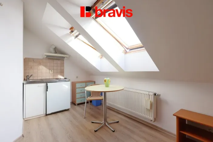 Pronájem bytu 1+kk, Brno, Palackého třída, 28 m2