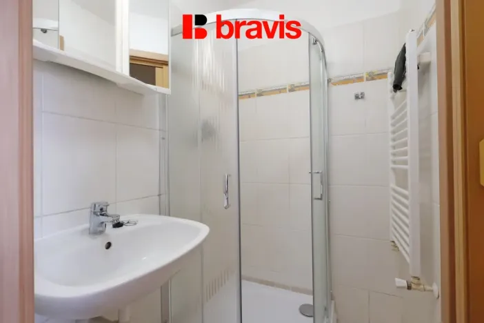 Pronájem bytu 1+kk, Brno, Palackého třída, 28 m2