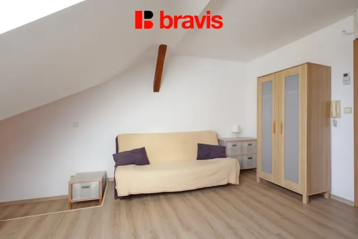 Pronájem bytu 1+kk, Brno, Palackého třída, 28 m2