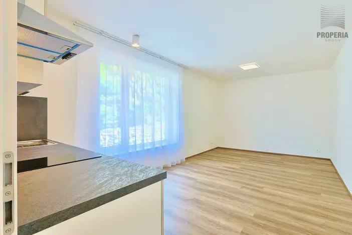 Pronájem bytu 1+kk, Brno, Bystrcká, 30 m2