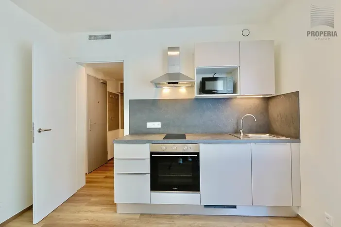 Pronájem bytu 1+kk, Brno, Bystrcká, 30 m2