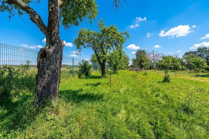Prodej chaty, Prostějov, Za Kosteleckou, 30 m2