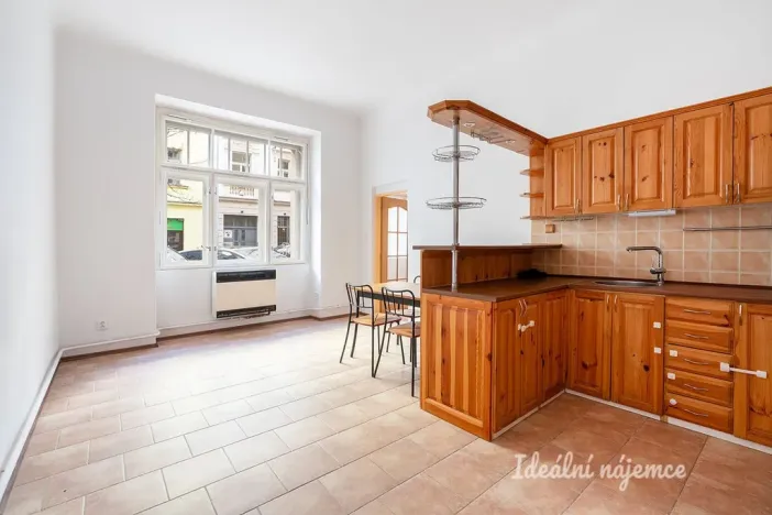 Pronájem bytu 1+1, Praha - Žižkov, Bořivojova, 49 m2