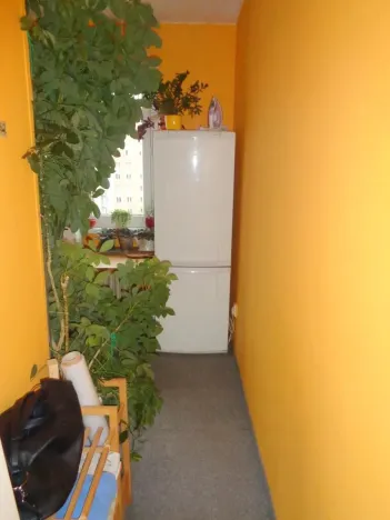 Pronájem bytu 1+1, Praha - Záběhlice, Práčská, 37 m2