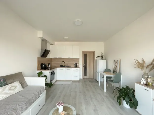 Pronájem bytu 1+kk, Olomouc, Edmunda Husserla, 29 m2