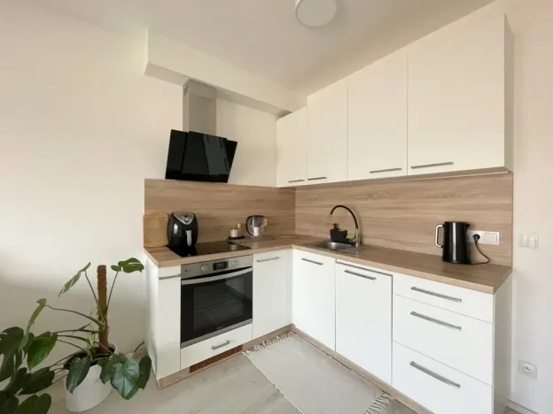 Pronájem bytu 1+kk, Olomouc, Edmunda Husserla, 29 m2