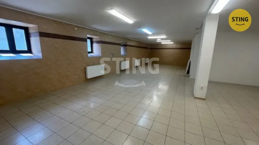 Pronájem skladu, Český Těšín, Ostravská, 230 m2