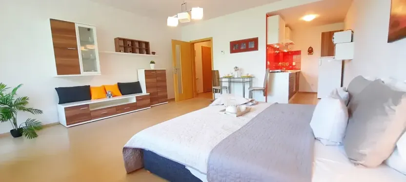 Pronájem bytu 1+kk, Brno, Šemberova, 51 m2