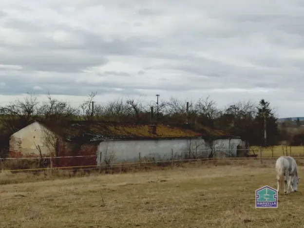 Prodej zemědělského objektu, Kotovice - Nový, 144 m2