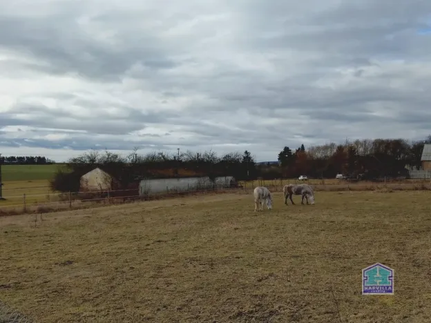 Prodej zemědělského objektu, Kotovice - Nový, 144 m2