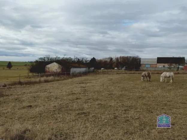 Prodej zemědělského objektu, Kotovice - Nový, 144 m2