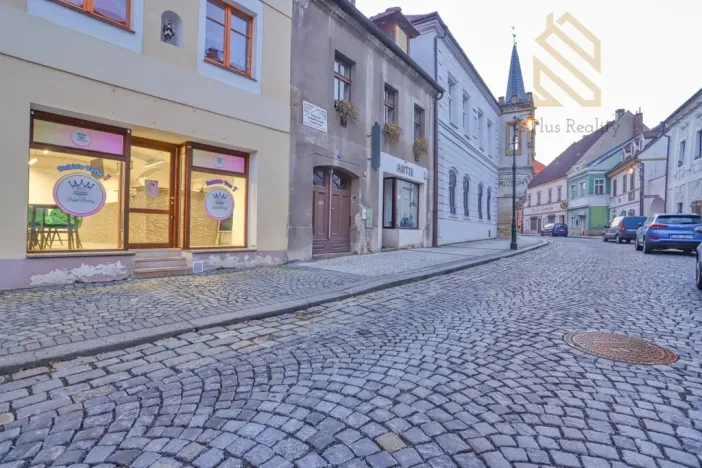 Prodej obchodního prostoru, Louny, Pivovarská, 55 m2