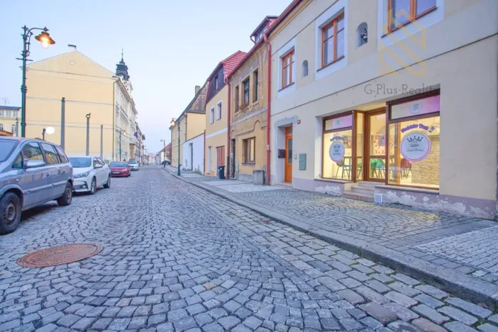 Prodej obchodního prostoru, Louny, Pivovarská, 55 m2