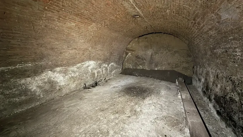 Prodej vinného sklepa, Pasohlávky, 54 m2