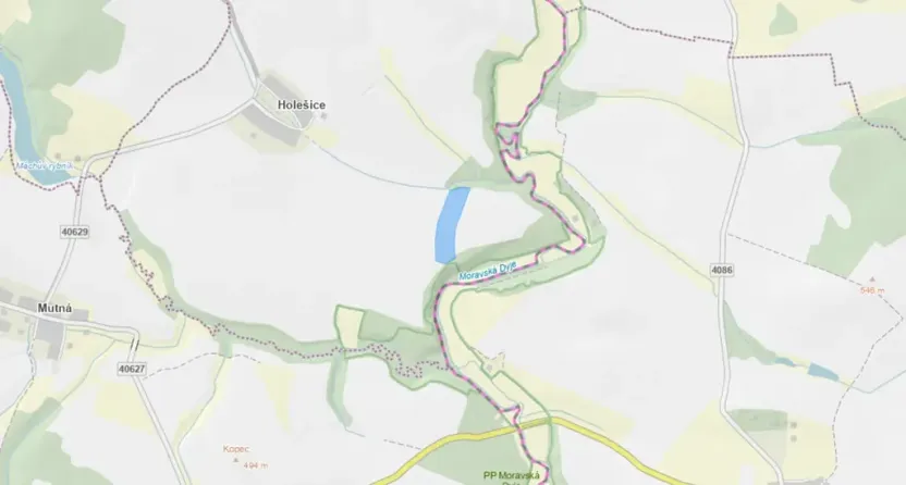 Prodej pole, Cizkrajov, 29754 m2