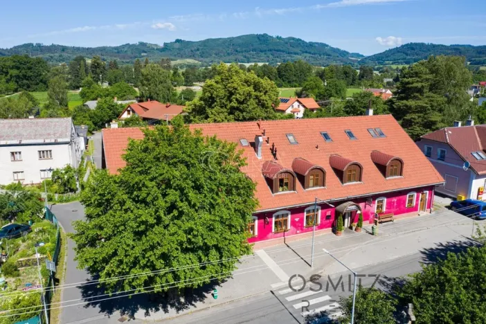 Prodej ubytování, Vikýřovice, Petrovská, 1063 m2